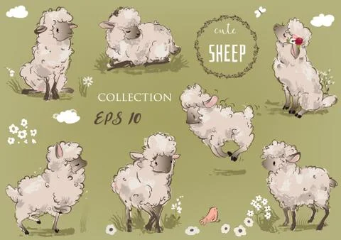 Cute sheeps collection Illustrazione stock
