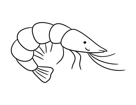 Cute shrimp drawing, vector doodle sea animal, outline simple illustration イラスト素材