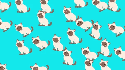 Cute Siamese Cat Seamless Pattern Vector Illustration on Blue Background Stock Footage 345540010