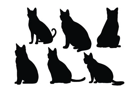 Cute Siamese cats silhouette bundle design. Domestic cats sitting in differ.. 스톡 일러스트