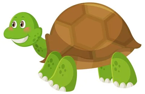 Cute simple turtle cartoon on white background Stock Illustration