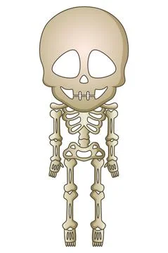Cute skeleton cartoon Stock Illustration