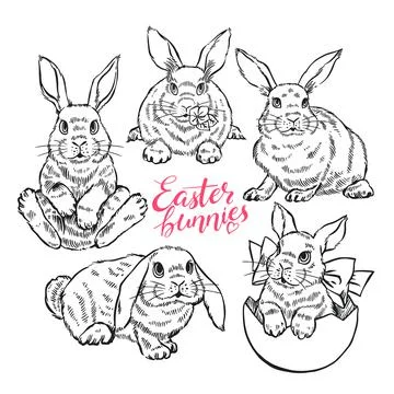 Cute sketch easter bunnies Ilustración de archivo