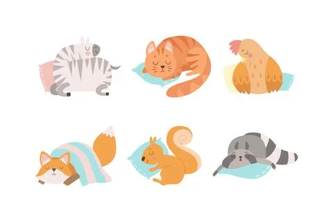 Cute Sleeping Animals Lying on Pillow Having Bedtime Rest Vector Set 스톡 일러스트