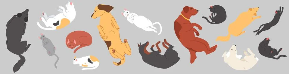 Cute sleeping pets top view set with cats and dogs Stock Illustration