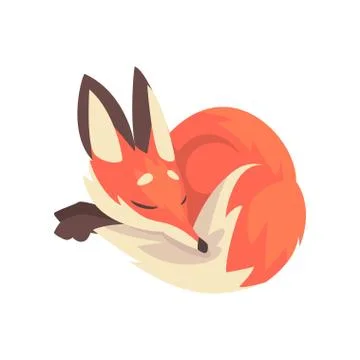 Cute Sleeping Red Fox Character Cartoon Vector Illustration Stock Illustration