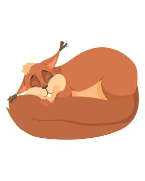 Cute sleeping squirrel cartoon vector on white Stock Illustration