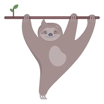 Cute sloth on the branch of tree smiling. Stock Illustration