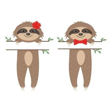 Cute sloth character boy and girl, with text separator, color isolated vector Stock Illustration