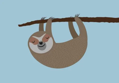 Cute sloth hanging on tree branch Stock-Illustration