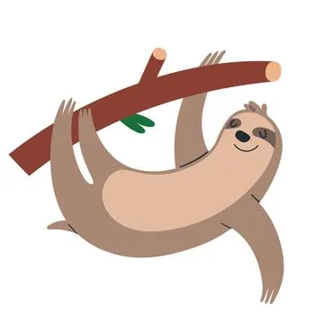 Cute sloth hanging on a tree branch, funny smiling tropical mammal illustration Stock Illustration