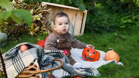 Cute small baby boy sitting near pumpkins and apples  in garden. Stock Footage 215524983