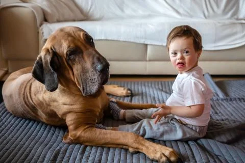 Cute small boy with Down syndrome playing with big dog of Fila Brasileiro breed Stock Photos