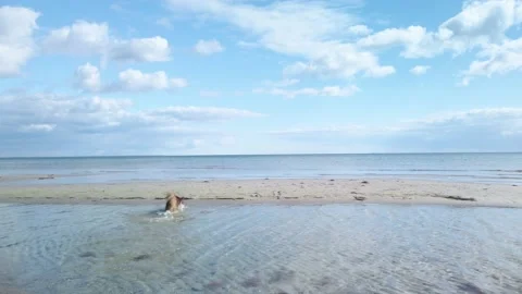 Cute small dog playing at the beach 2 Video stock 201553308
