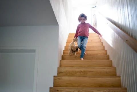 A cute small girl walking down wooden stairs indoors at home. Stock Photos