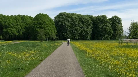 Cute Small White Dog and Short-Haired Golden Retriever in Amsterdam Forest 스톡 동영상 343017060
