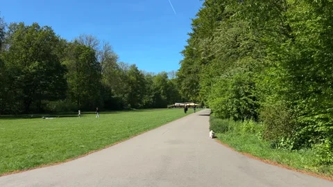Cute Small White Dog and Short-Haired Golden Retriever in Amsterdam Forest Stock-Footage 343017762