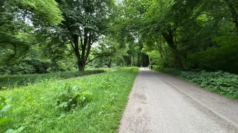 Cute Small White Dog and Short-Haired Golden Retriever in Amsterdam Forest 库存影片 343019608