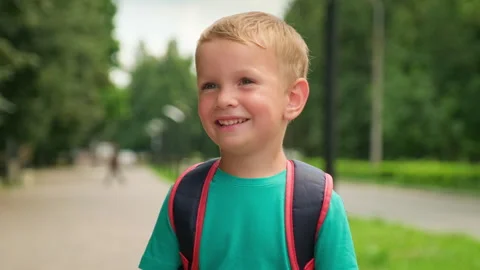 Cute smiling child with a school backpack outdoors. Happy little boy smilin.. Stock Footage 339533749