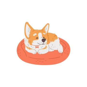 Cute smiling corgi lying on dog bed flat style, vector illustration Stock Illustration