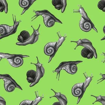 Cute snail cartoon pattern of funny ethnic drawings. Drawing by hand, pencil. 스톡 일러스트