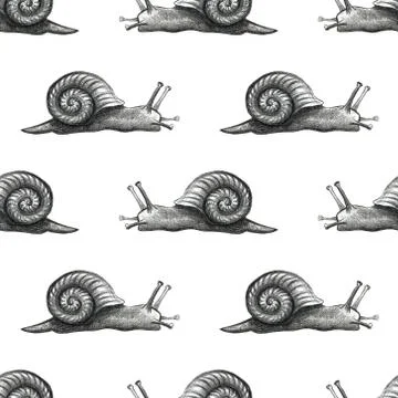 Cute snail cartoon pattern of funny ethnic drawings. Drawing by hand, pencil. 스톡 일러스트