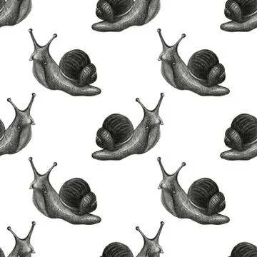 Cute snail cartoon pattern of funny ethnic drawings. Drawing by hand, pencil. イラスト素材