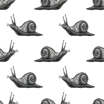 Cute snail cartoon pattern of funny ethnic drawings. Drawing by hand, pencil. Illustrazione stock