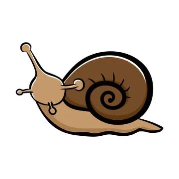 Cute snail isolated on white background  hand-drawn style Stock Illustration