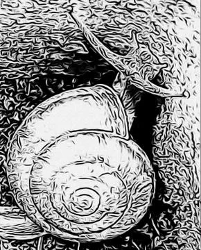 A cute snail Stock Photos