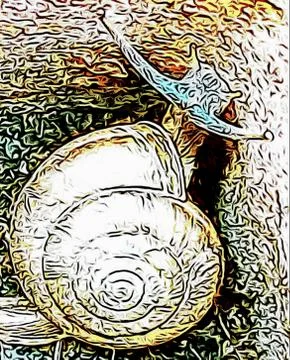 A cute snail Stock Photos