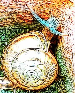 A cute snail Stock Photos