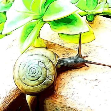 A cute snail Stock Photos