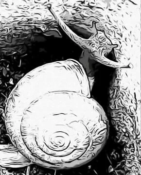 A cute snail Stock Photos