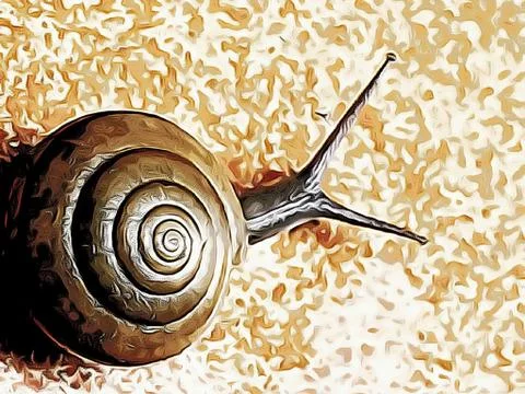 A cute snail Stock Photos