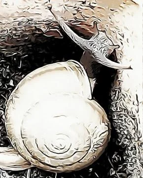 A cute snail Stock Photos