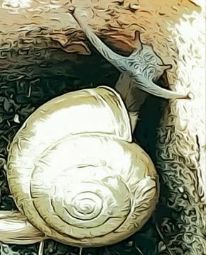 A cute snail Stock Photos