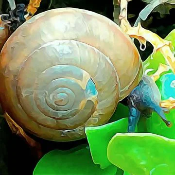 A cute snail Stock Photos