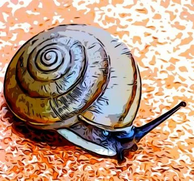 A cute snail Stock Photos