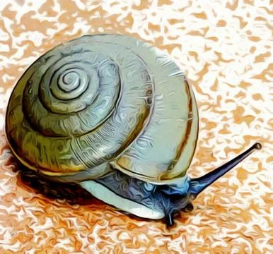 A cute snail Stock Photos