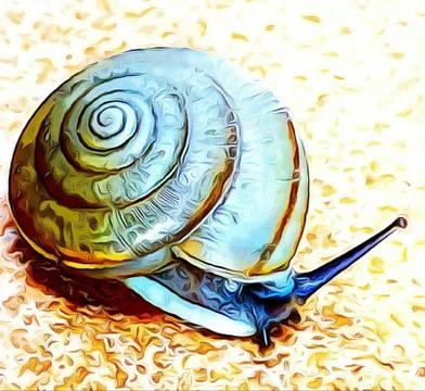 A cute snail Stock Photos