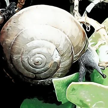 A cute snail Stock Photos