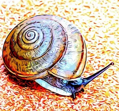 A cute snail Stock Photos