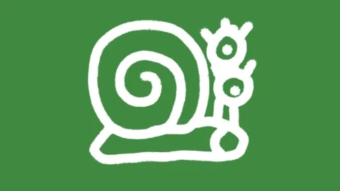 Cute snail spiral shell hand-drawn cartoon graphic with chalk outline slow icon Stock Footage 337052326
