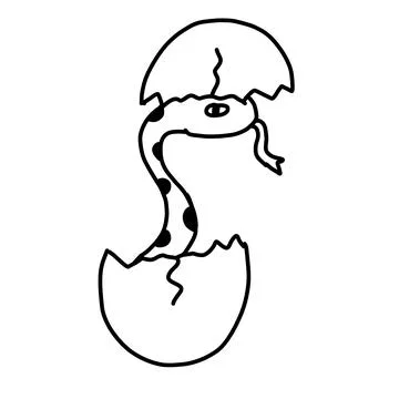 Cute Snake from the egg. Vector illustration for coloring in cartoon doodle.. Stock Illustration