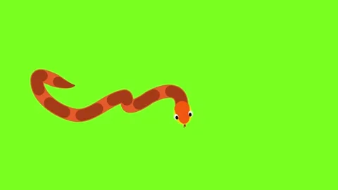 Cute snake walking cartoon animation Stock Footage 345371846