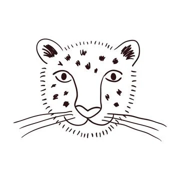 Cute snow leopard face hand drawn illustration Stock Illustration