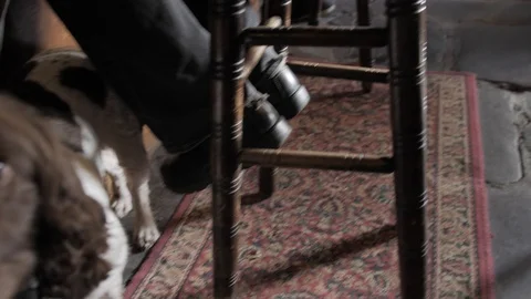 Cute Spaniel at the Pub being a Good Boy while Man Drinks on Stool Vídeo Stock 120249253