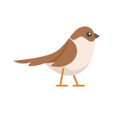 Cute sparrow bird standing on tiny orange legs イラスト素材