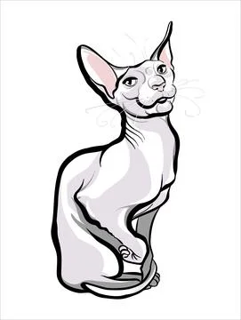 Cute sphinx cat is light on a white background. A sketch by hand. Stock Illustration